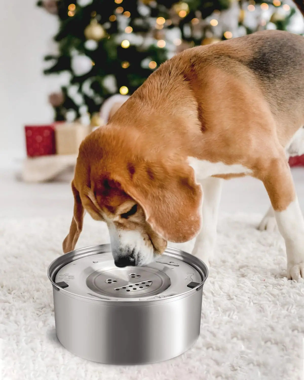 3L Stainless Steel No Spill Water Bowl for Dogs | Non-Slip, Slow Drinking Feeder for Medium & Large Dogs