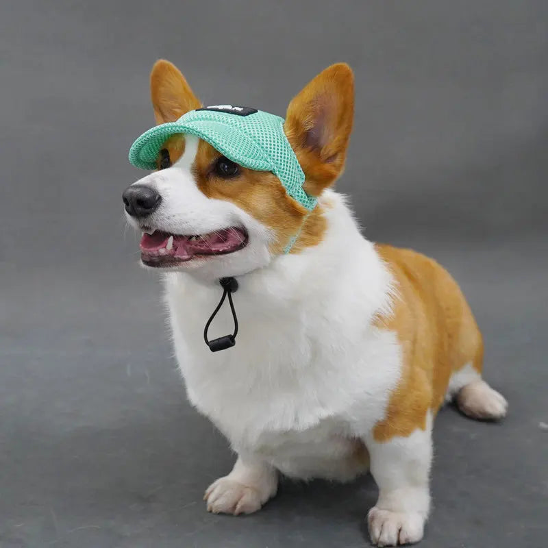 Summer Pet Dog Hat – Breathable Sun Protection Cap with Exposed Ears