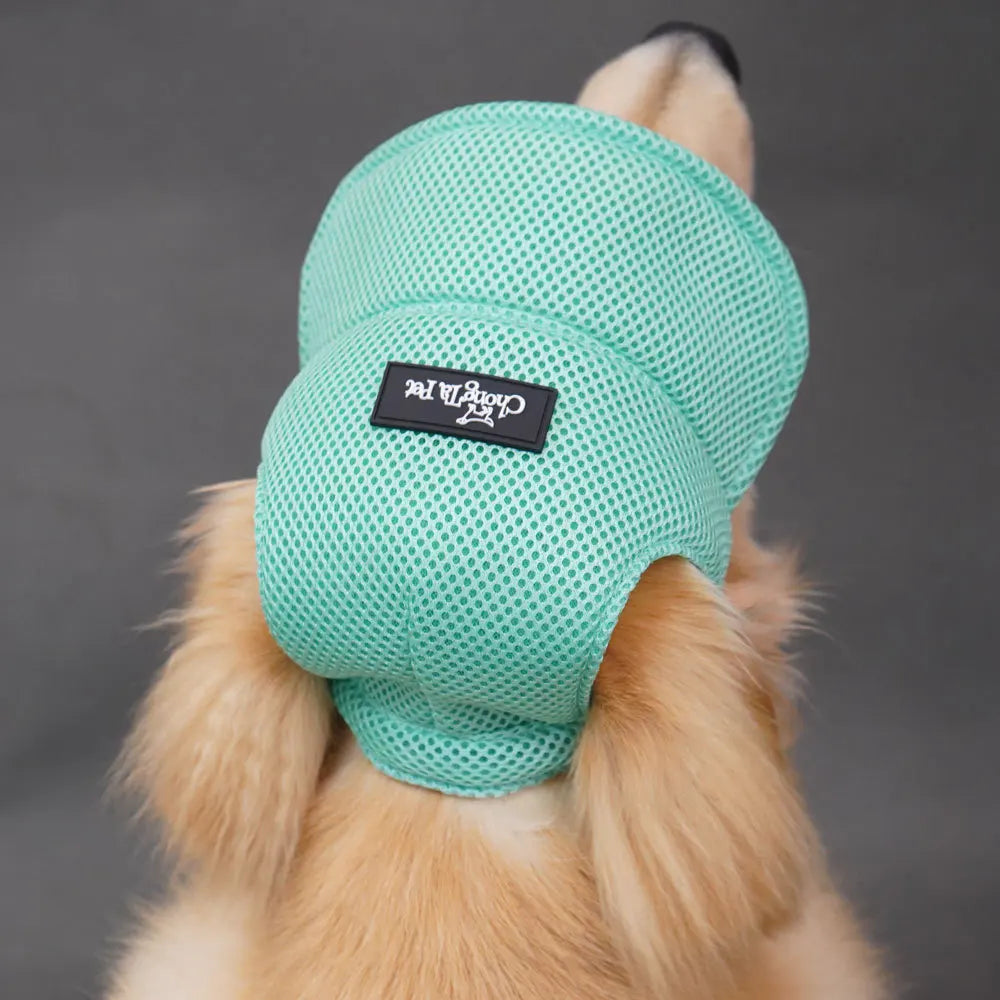 Summer Pet Dog Hat – Breathable Sun Protection Cap with Exposed Ears