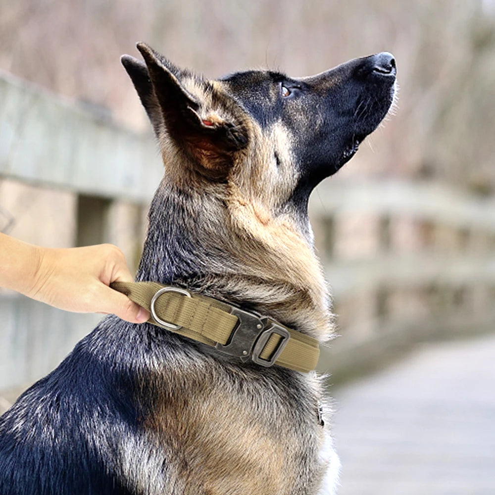 Military Tactical Dog Collar & Bungee Leash Set – Nylon Training Collar for Medium to Large Dogs