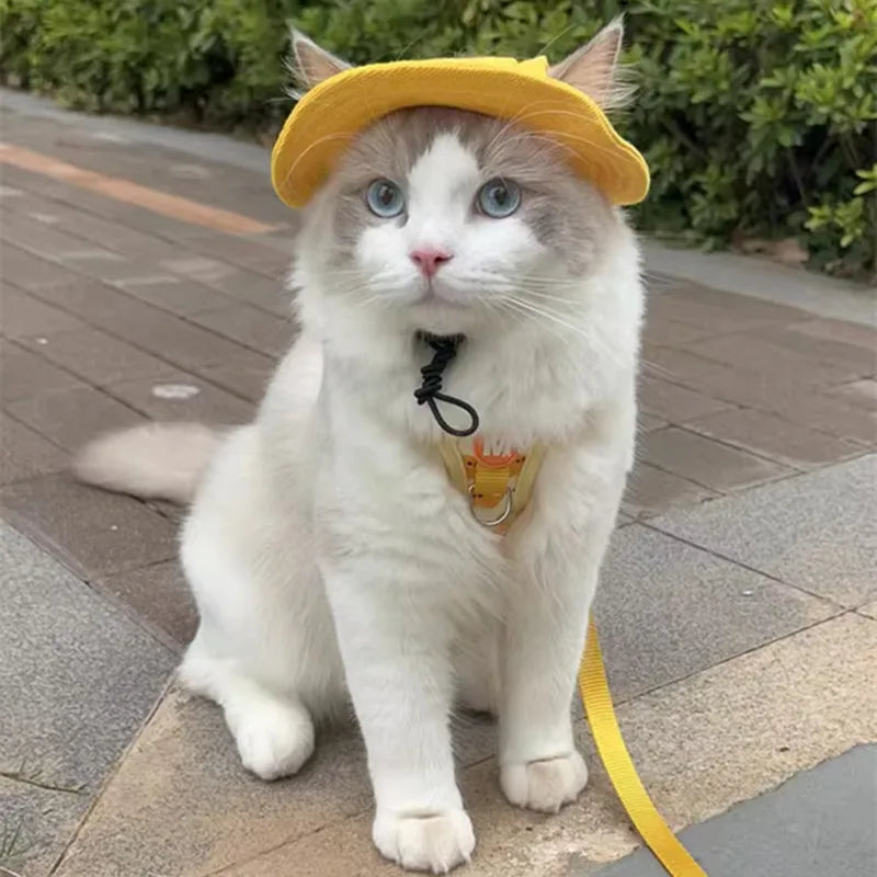 Cute Cat & Sm Dog Sun Hat – Visor Hat with Ear Holes for Pets, Outdoor Sun Protection