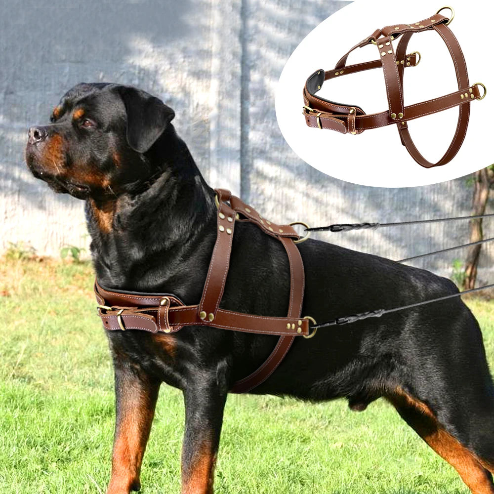 Real Leather Dog Harness – Durable Pet Training Harness for Large Dogs | Adjustable & Comfortable for German Shepherds