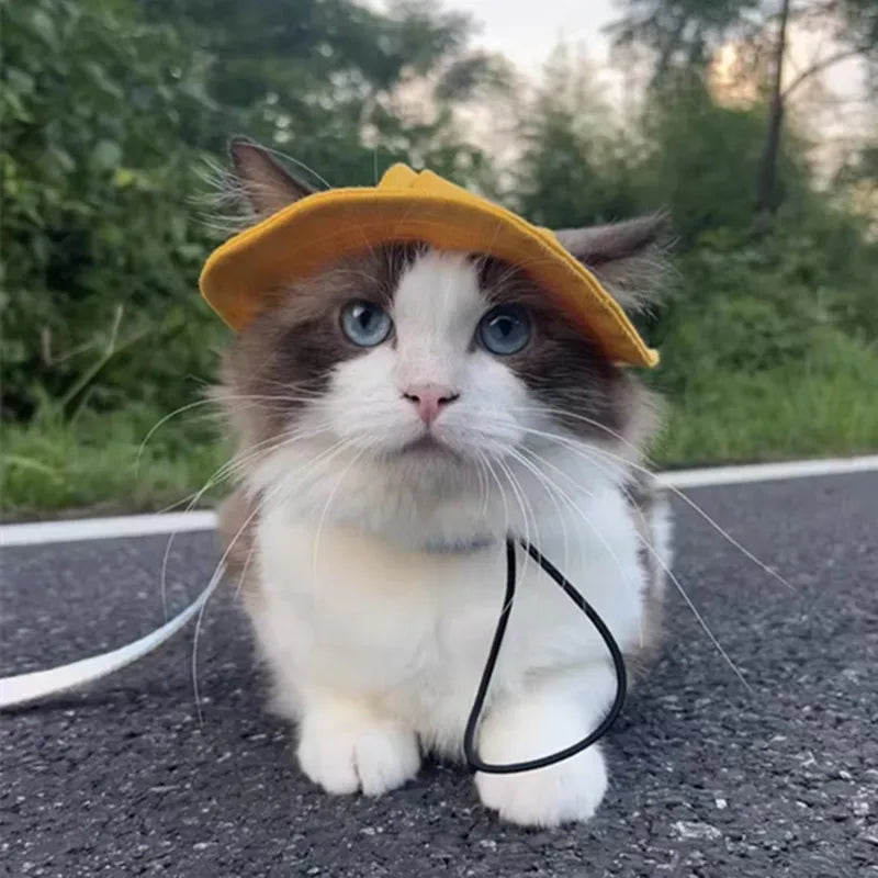 Cute Cat & Sm Dog Sun Hat – Visor Hat with Ear Holes for Pets, Outdoor Sun Protection