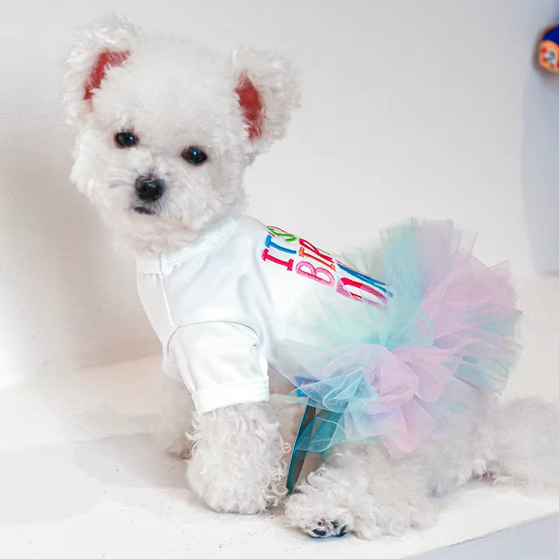 Layered Rainbow Veil Puppy Summer Dress – Cute Birthday Pet Dog Dress for Small Dogs & Cats