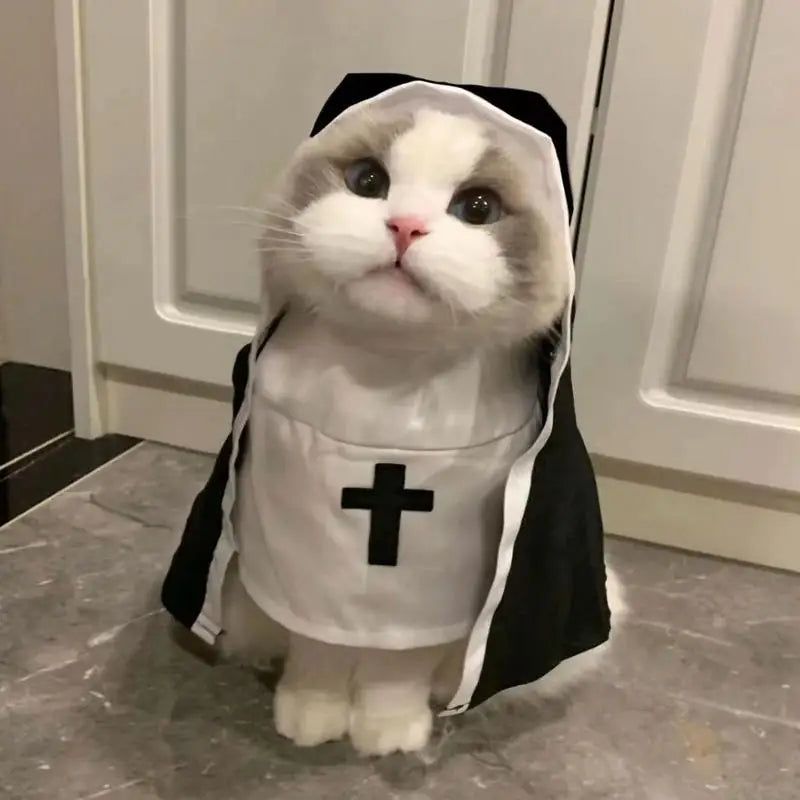Pet Dog Nun Costume for Halloween – Cute Cosplay Outfit for Small to Medium Dogs & Cats