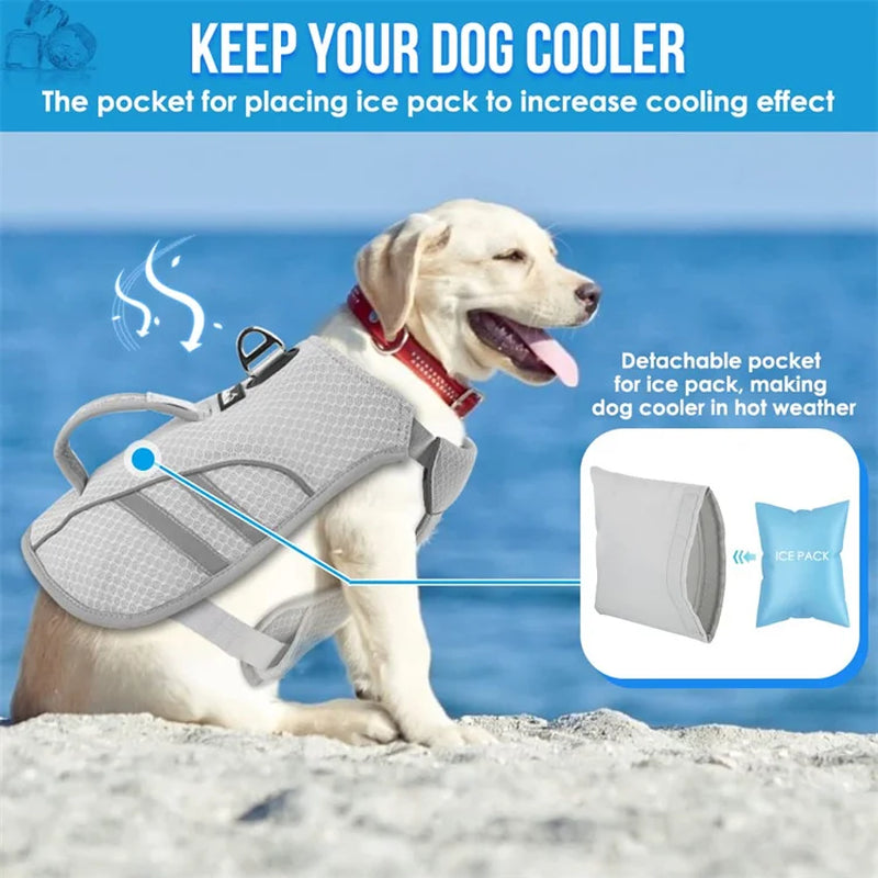 Dog Cooling Vest – Evaporative Cooling Jacket with Ice Pack Pocket & Reflective Design