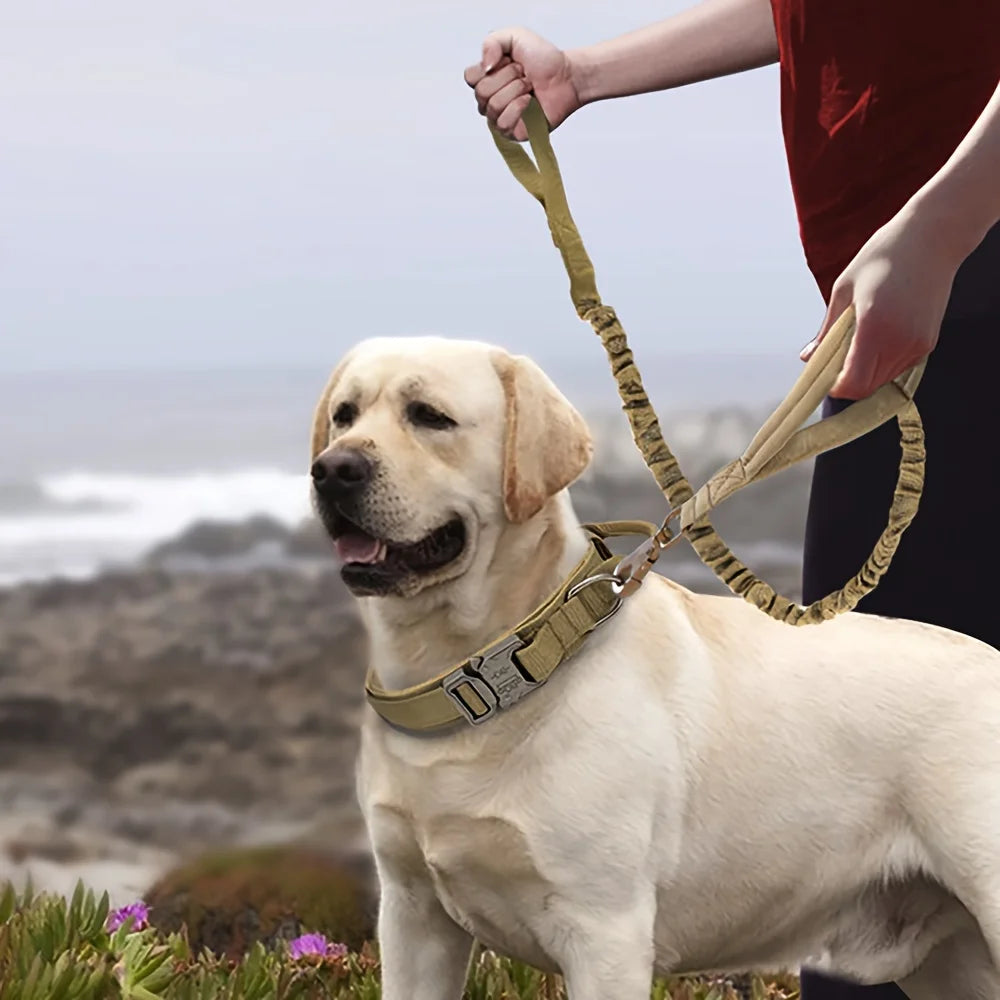 Heavy Duty Tactical Dog Collar & Leash Set – Military Collar with Handle for Medium/Large Dogs