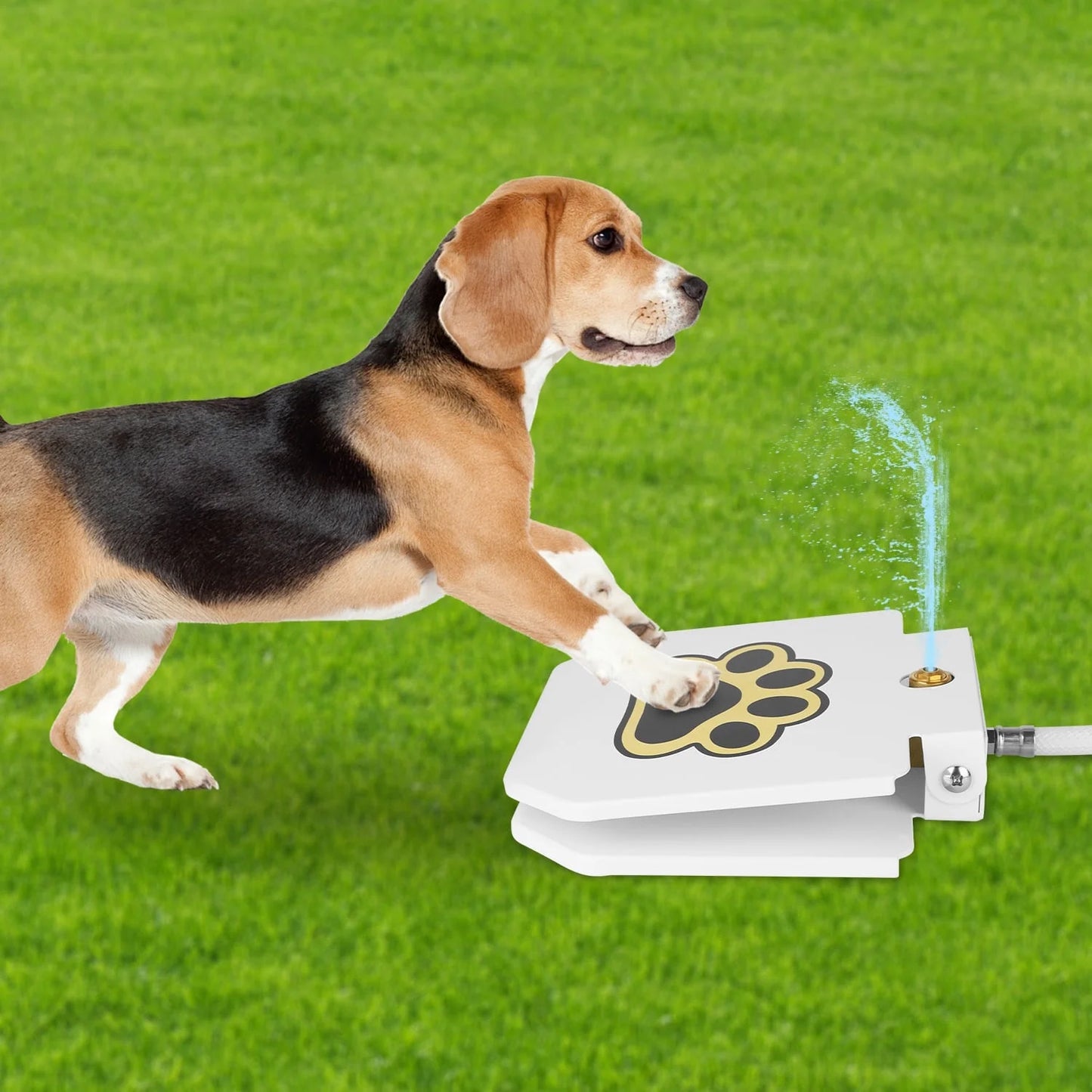Moclever Dog Water Dispenser – Step-on Activated Outdoor Water Fountain for Dogs | Durable, Rustproof & Hygienic