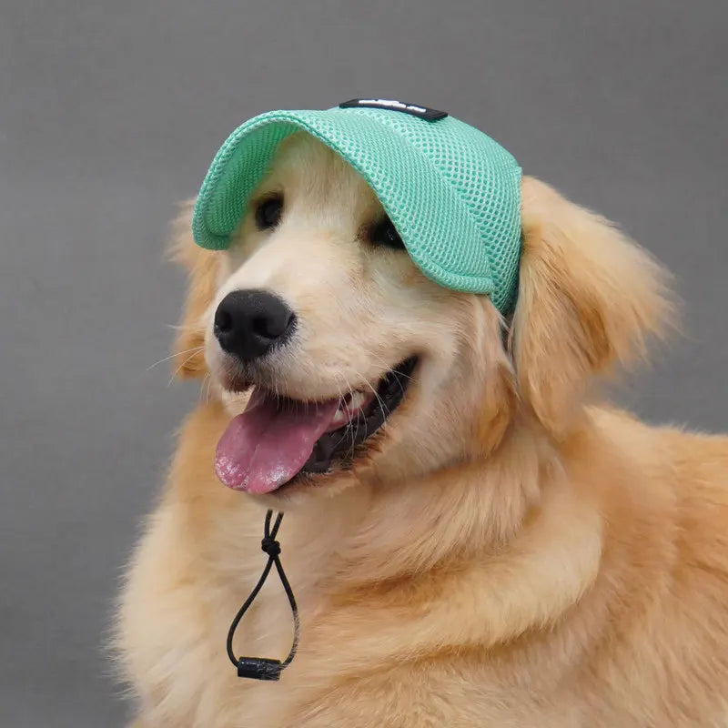 Summer Pet Dog Hat – Breathable Sun Protection Cap with Exposed Ears