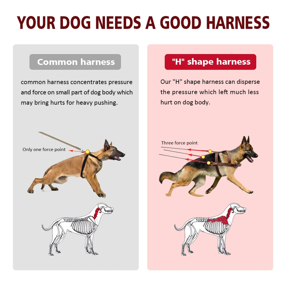 Real Leather Dog Harness – Durable Pet Training Harness for Large Dogs | Adjustable & Comfortable for German Shepherds