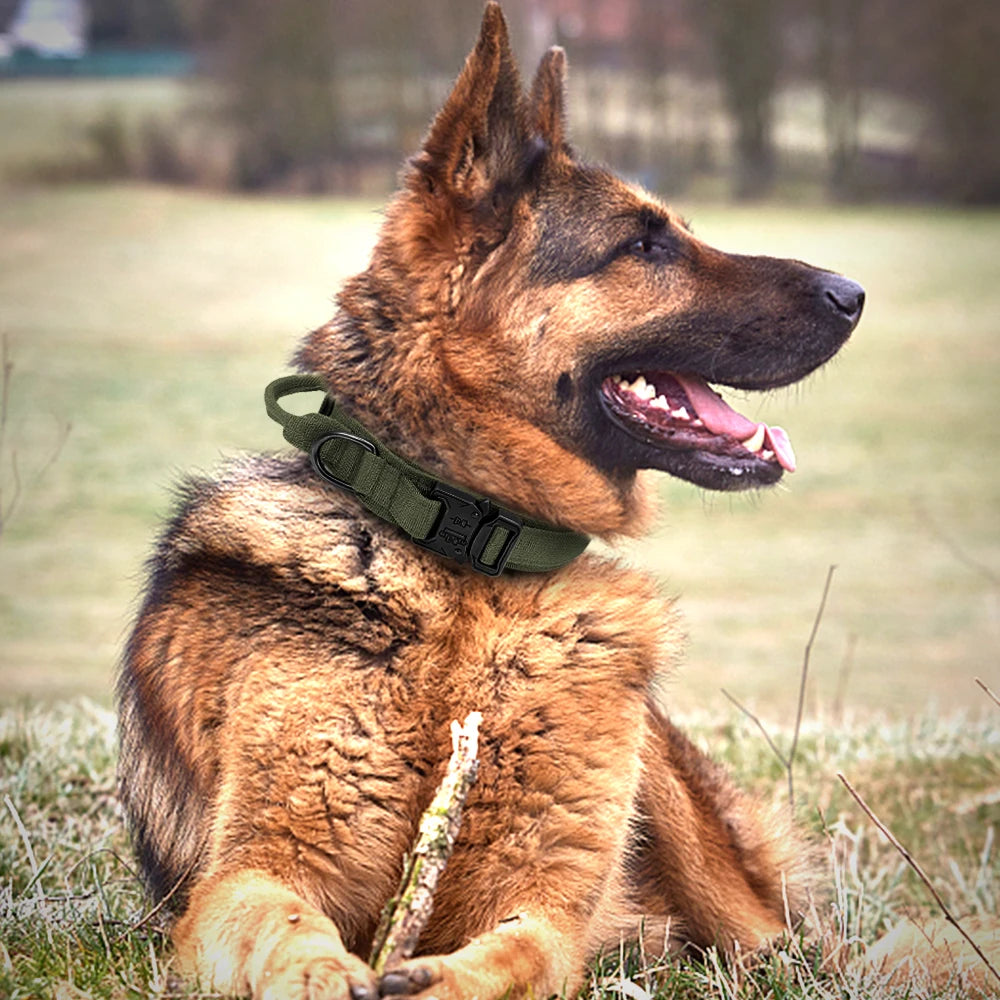 Military Tactical Dog Collar & Bungee Leash Set – Nylon Training Collar for Medium to Large Dogs