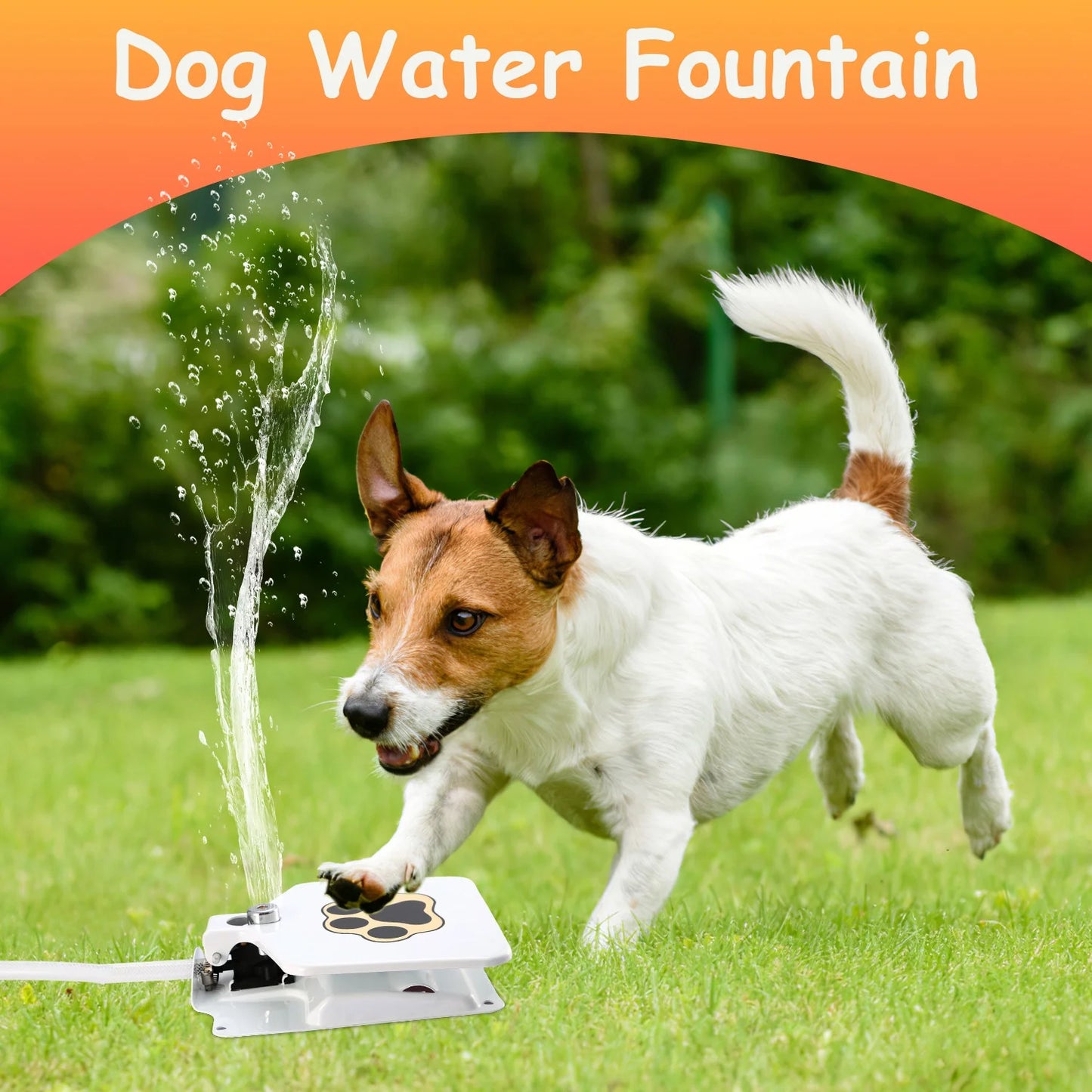 Moclever Dog Water Dispenser – Step-on Activated Outdoor Water Fountain for Dogs | Durable, Rustproof & Hygienic