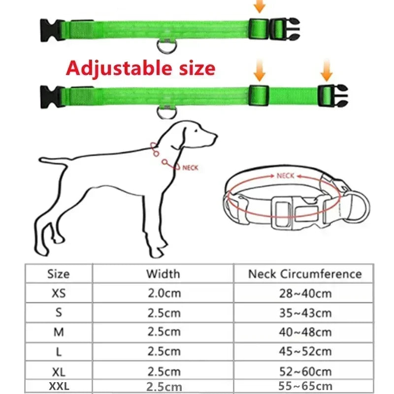 LED Glowing Dog Collar - Rechargeable Night Safety Flashing Pet Collar for Small Dogs with Adjustable Sizes