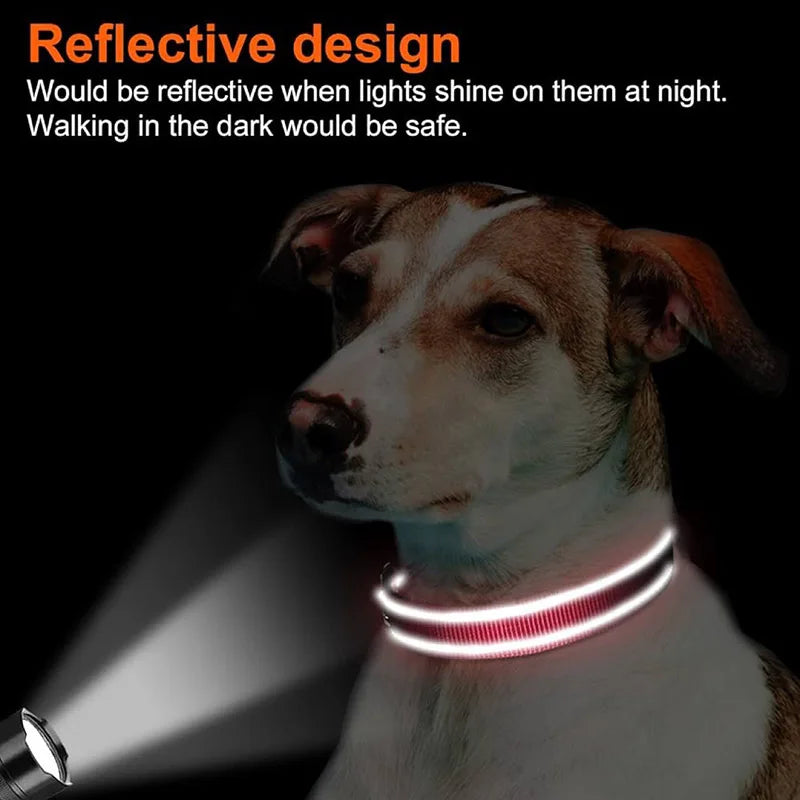 Reflective Dog Collar for Medium & Large Dogs – Adjustable, Soft Neoprene Padded Nylon, Sturdy & Comfortable
