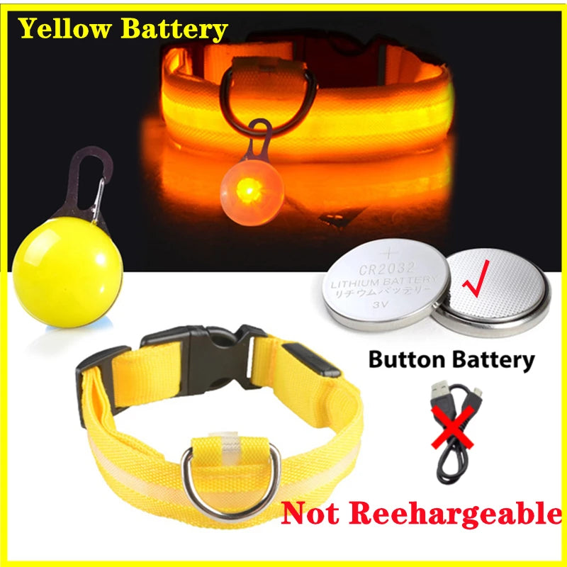 USB Charging Glowing Dog Collar with Pendant – Luminous LED Light Dog Collar for Safety – Available in XS-XXL