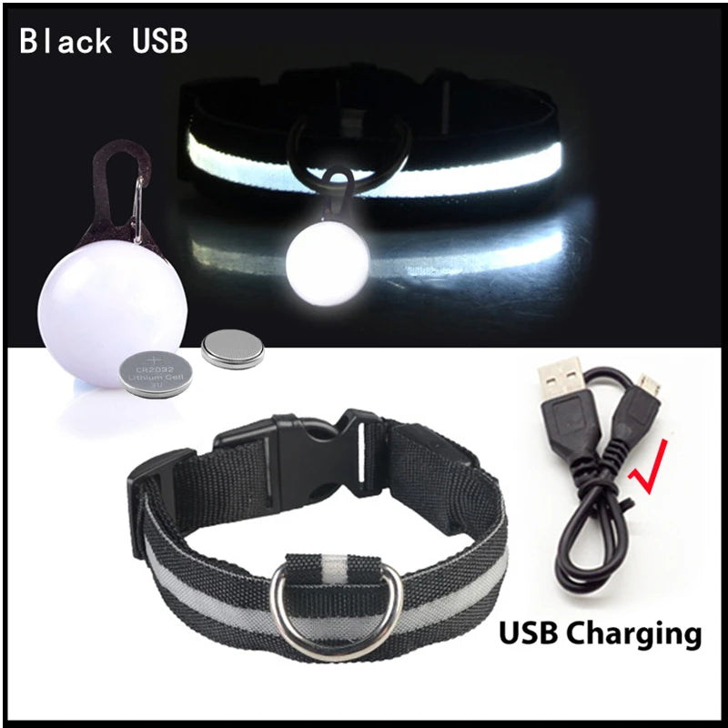 USB Charging Glowing Dog Collar with Pendant – Luminous LED Light Dog Collar for Safety – Available in XS-XXL