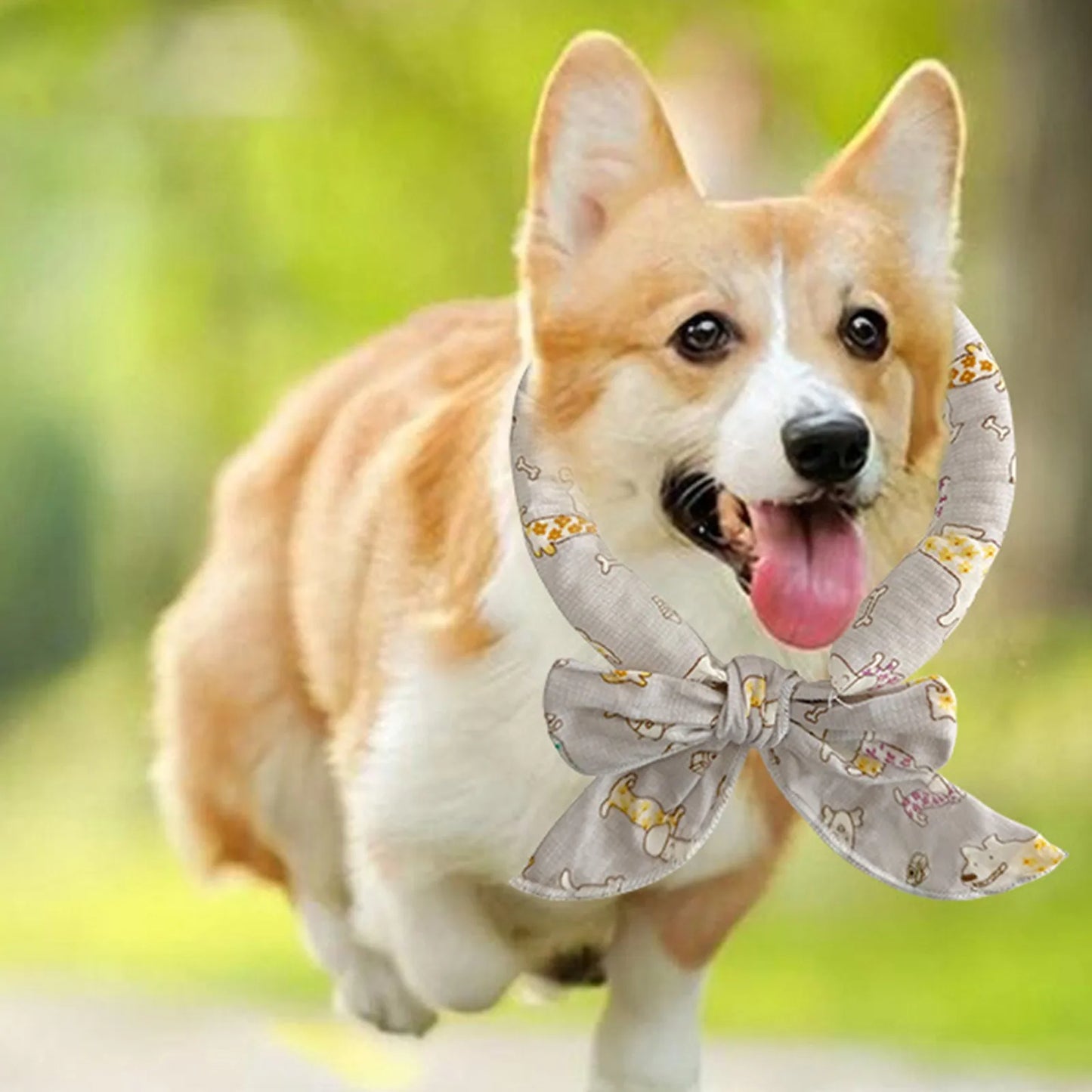 Pet Cooling Scarf – Adjustable Ice Crystal Bandana for Dogs & Cats, Breathable and Refreshing