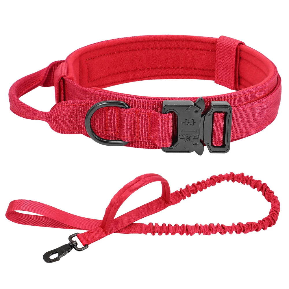 Military Tactical Dog Collar & Bungee Leash Set – Nylon Training Collar for Medium to Large Dogs