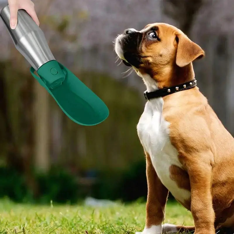 Portable Dog Water Bottle - 750ml (27oz) Stainless Steel Travel Water Dispenser with Leaf Shape Bowl for Small & Large Dogs