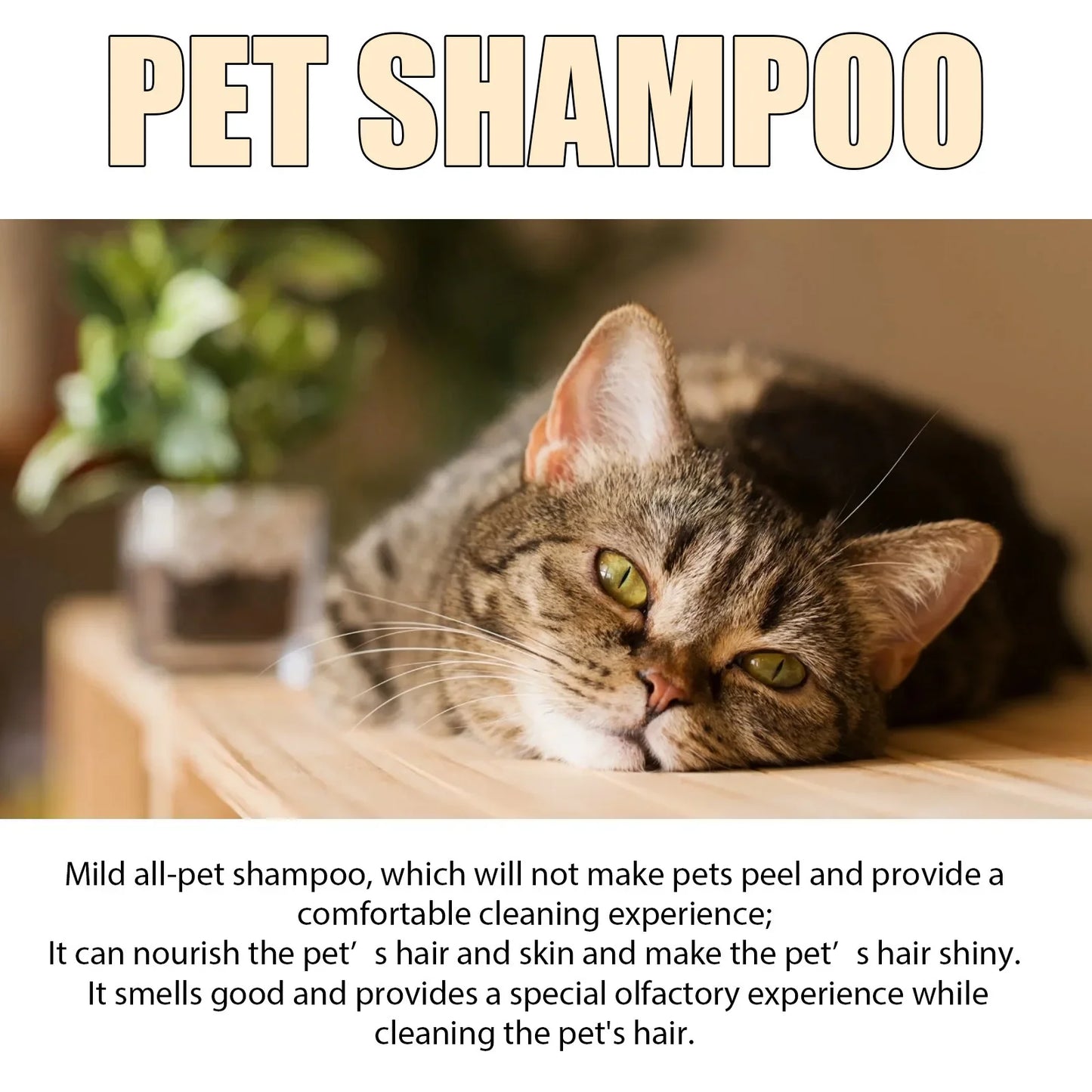 Pet Wash Shampoo Dogs Hair Soften Dirts Mites Removal Flea Kille Deodorizing Reduce Itching anti Flea Pet Grooming Puppy Shampoo