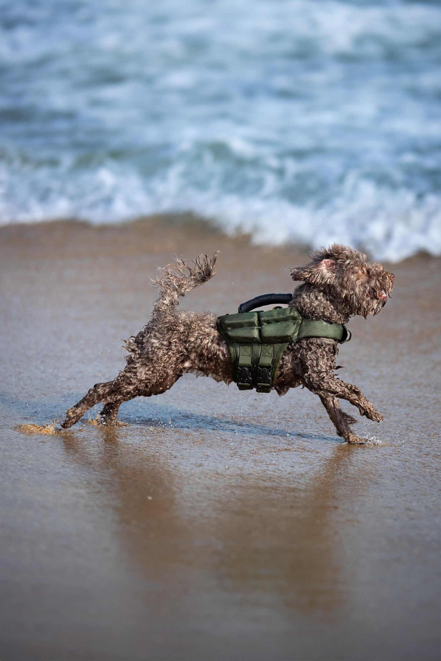 Noah & Paw Dog Life Jacket – 4X Foam Support, Human-Standard Design, and Reflective for Maximum Safety & Comfort