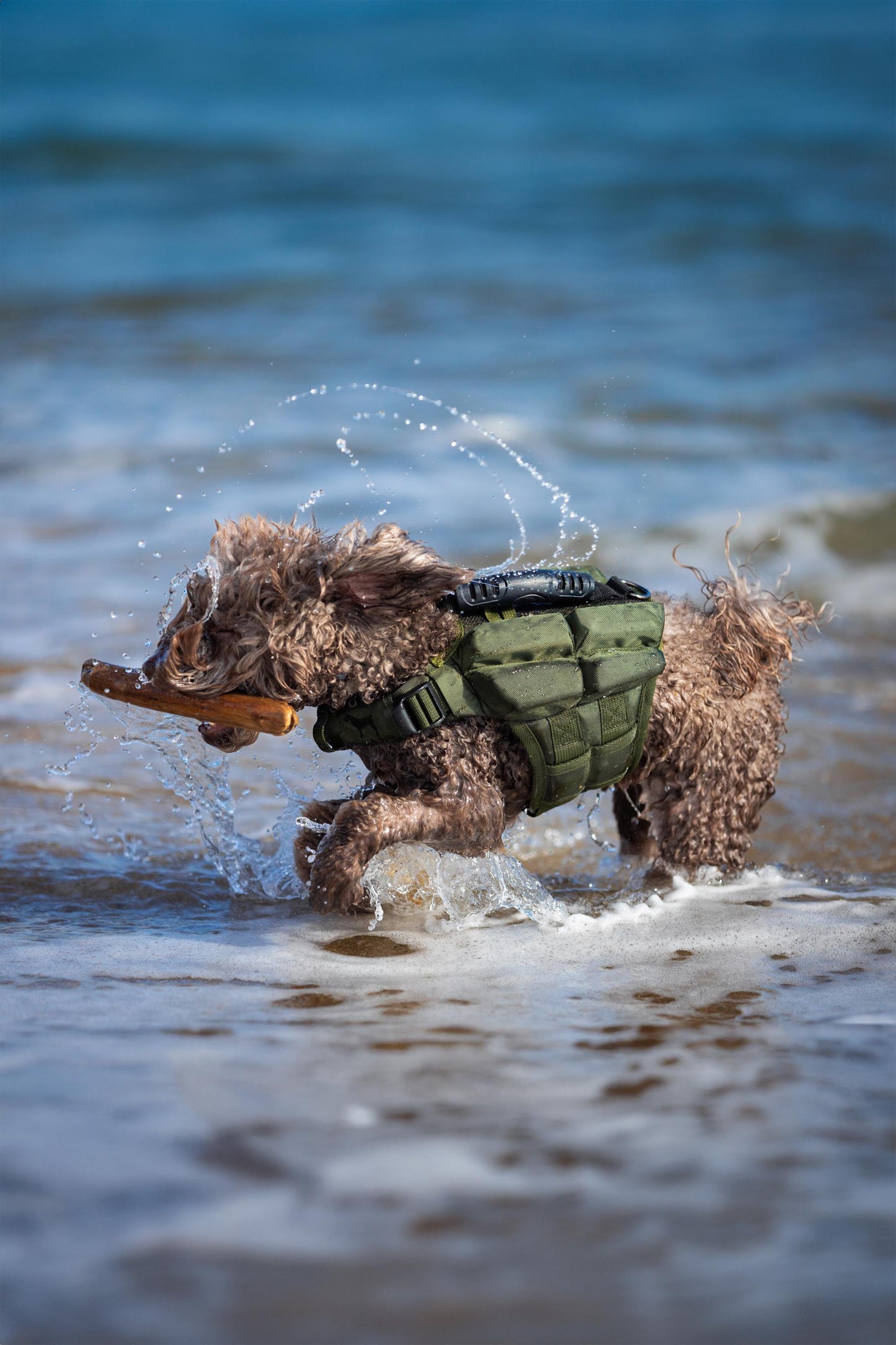 Noah & Paw Dog Life Jacket – 4X Foam Support, Human-Standard Design, and Reflective for Maximum Safety & Comfort