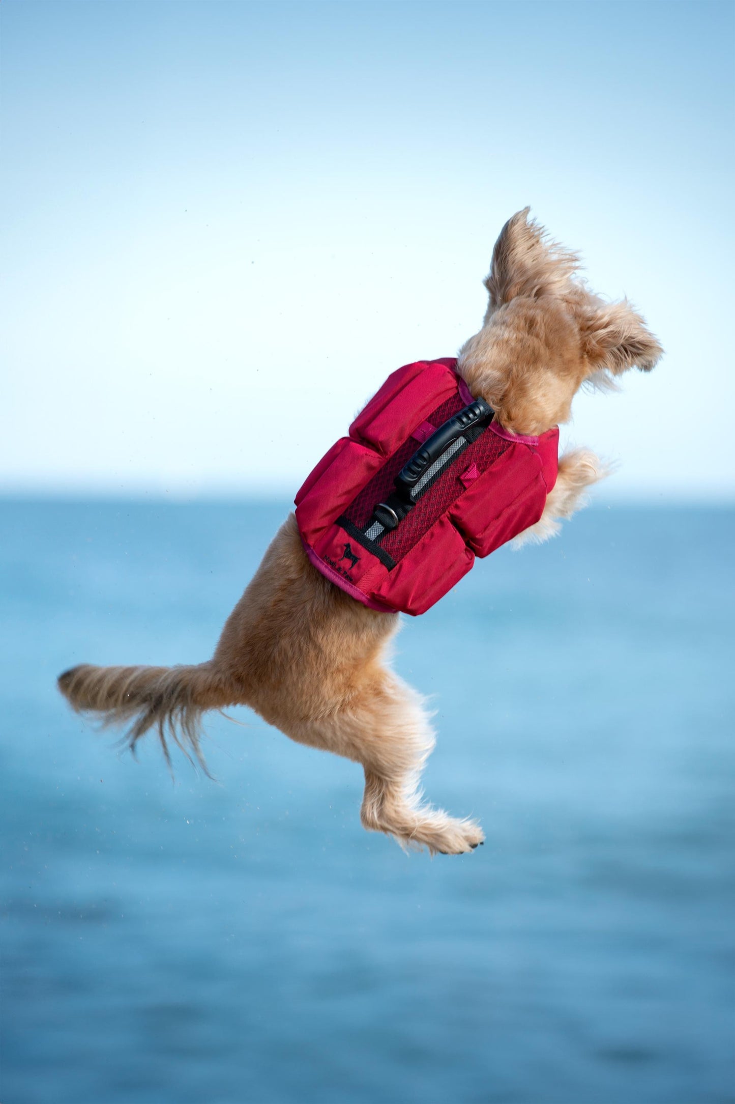 Noah & Paw Dog Life Jacket – 4X Foam Support, Human-Standard Design, and Reflective for Maximum Safety & Comfort