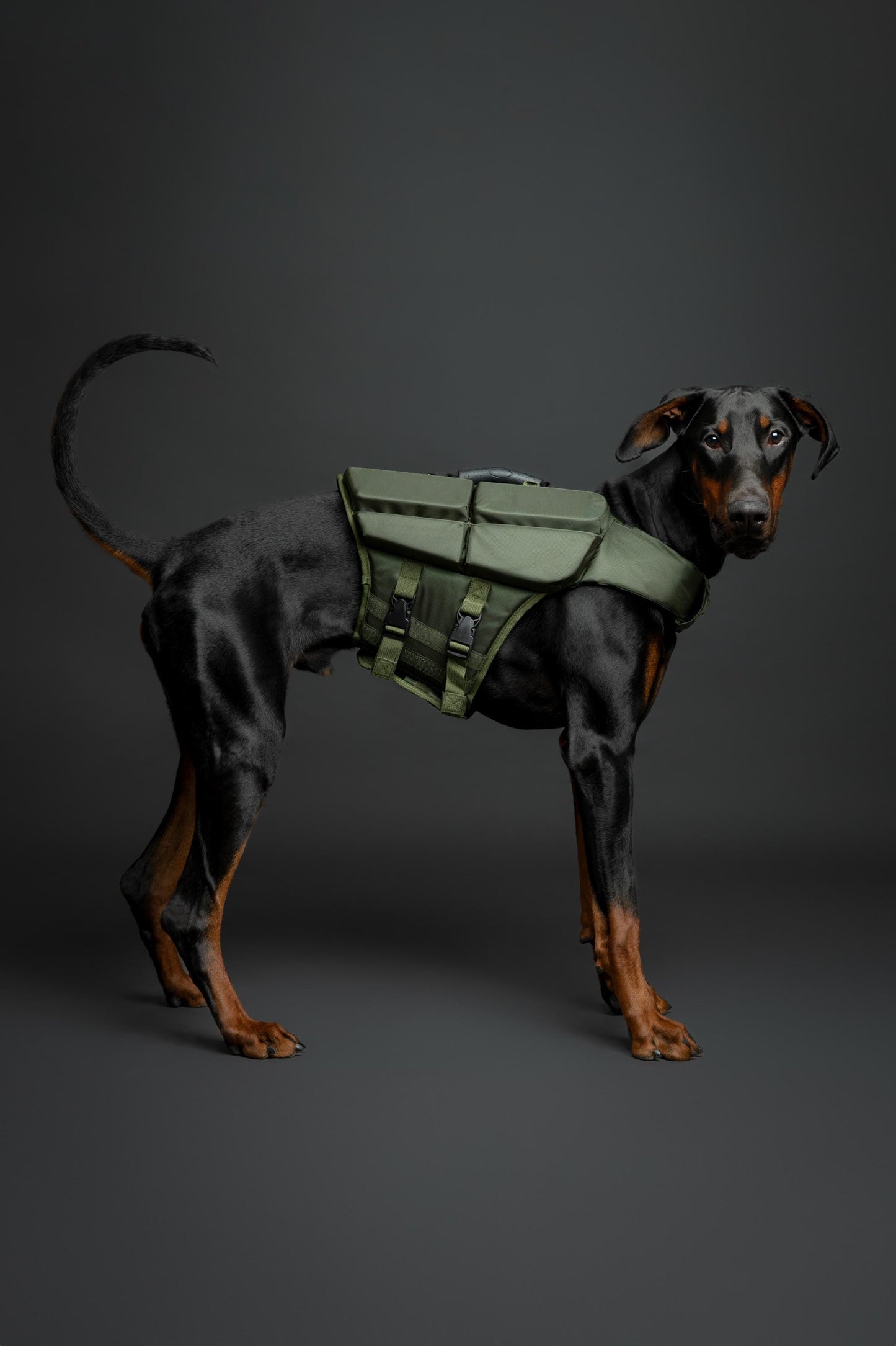 Noah & Paw Dog Life Jacket – 4X Foam Support, Human-Standard Design, and Reflective for Maximum Safety & Comfort