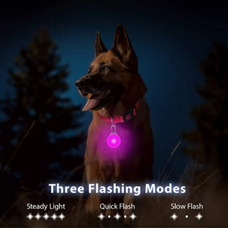 USB Charging Glowing Dog Collar with Pendant – Luminous LED Light Dog Collar for Safety – Available in XS-XXL