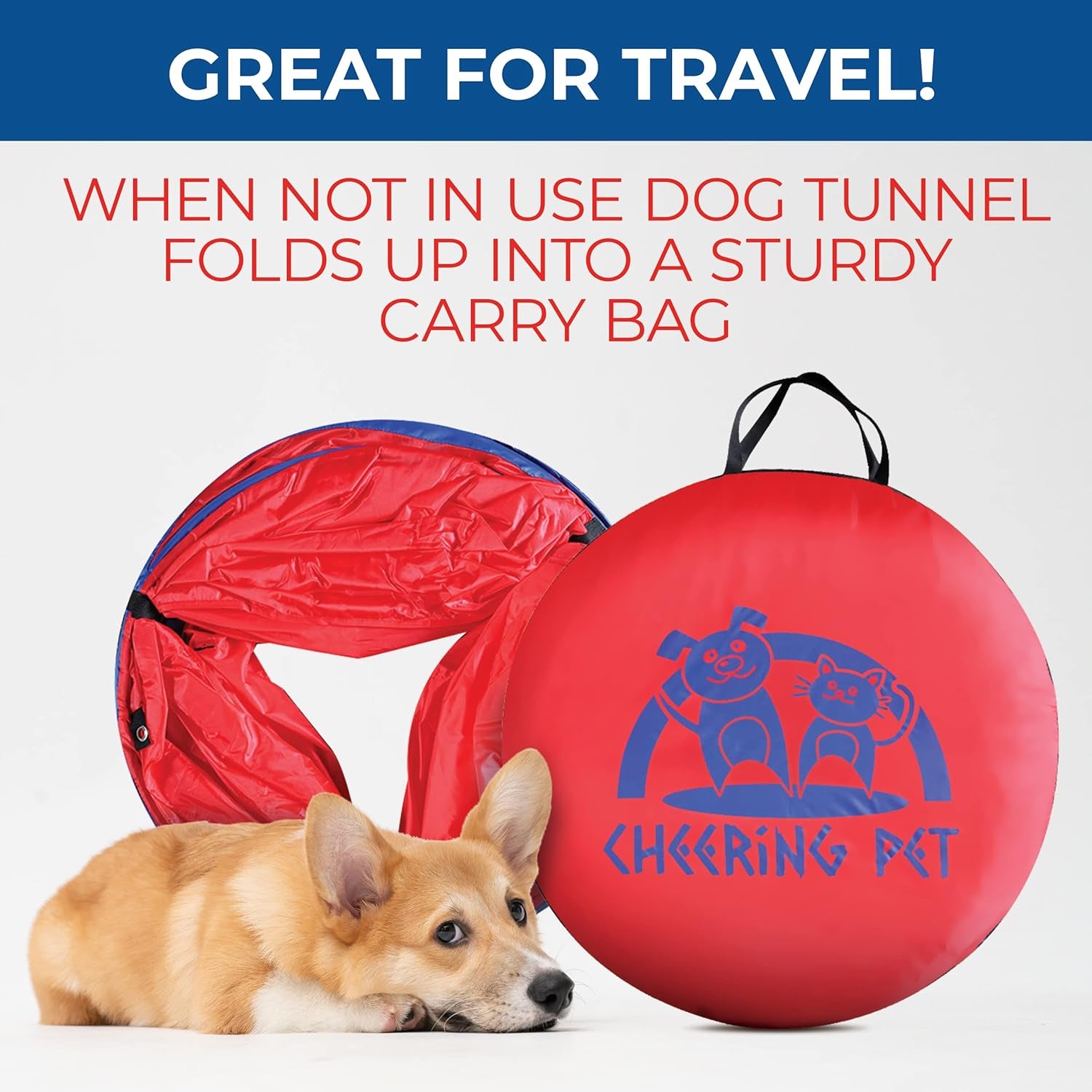 Cheering Pet Deluxe Edition Dog Agility Training Set – Indoor/Outdoor Dog Agility Equipment with Two Tunnels | Complete Set for Fun & Training