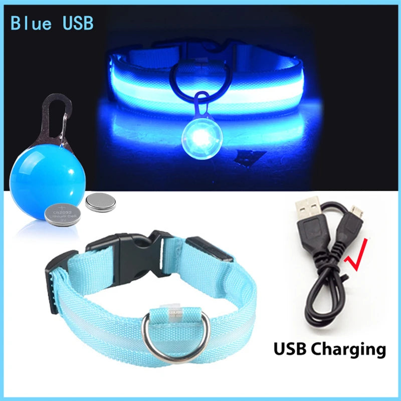 USB Charging Glowing Dog Collar with Pendant – Luminous LED Light Dog Collar for Safety – Available in XS-XXL