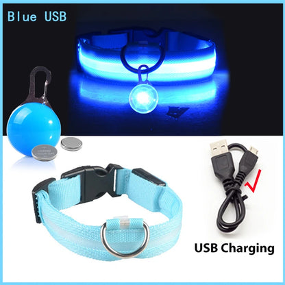 USB Charging Glowing Dog Collar with Pendant – Luminous LED Light Dog Collar for Safety – Available in XS-XXL