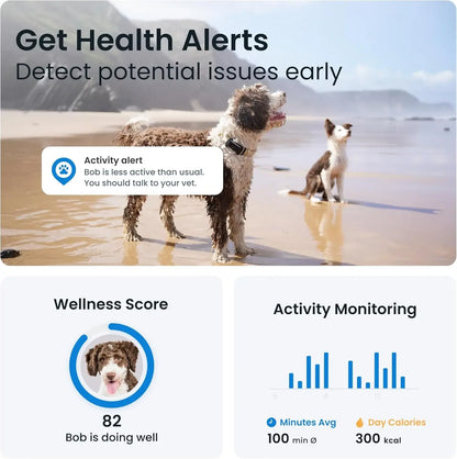 GPS Dog Tracker with Real-Time Updates | Virtual Fences, Bark Monitoring & Waterproof Design
