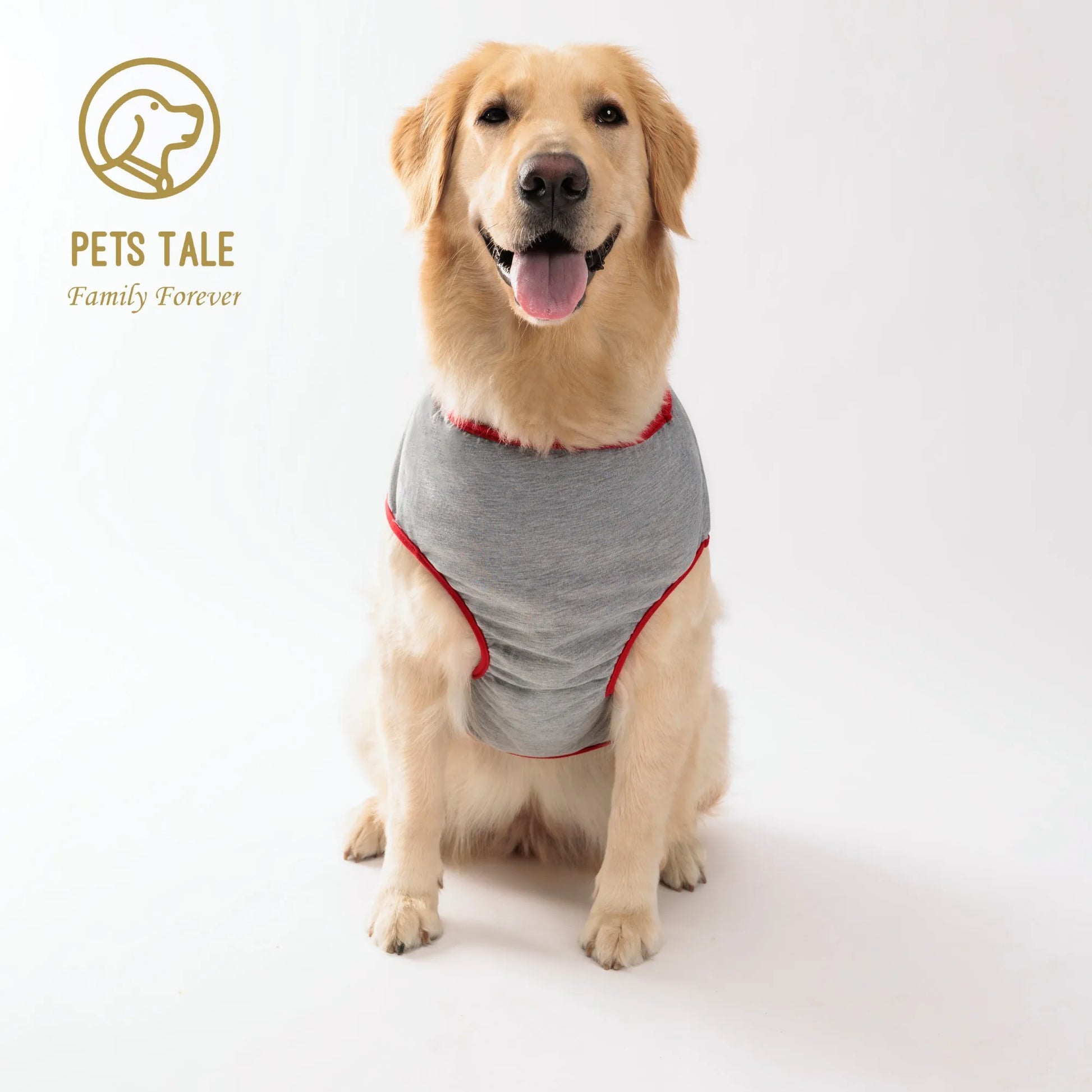 Dog T-Shirt with "Mommy Boy" Print – Perfect for Small, Medium & Large Dogs | Comfortable & Stylish Pet Shirt