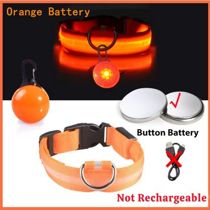 USB Charging Glowing Dog Collar with Pendant – Luminous LED Light Dog Collar for Safety – Available in XS-XXL