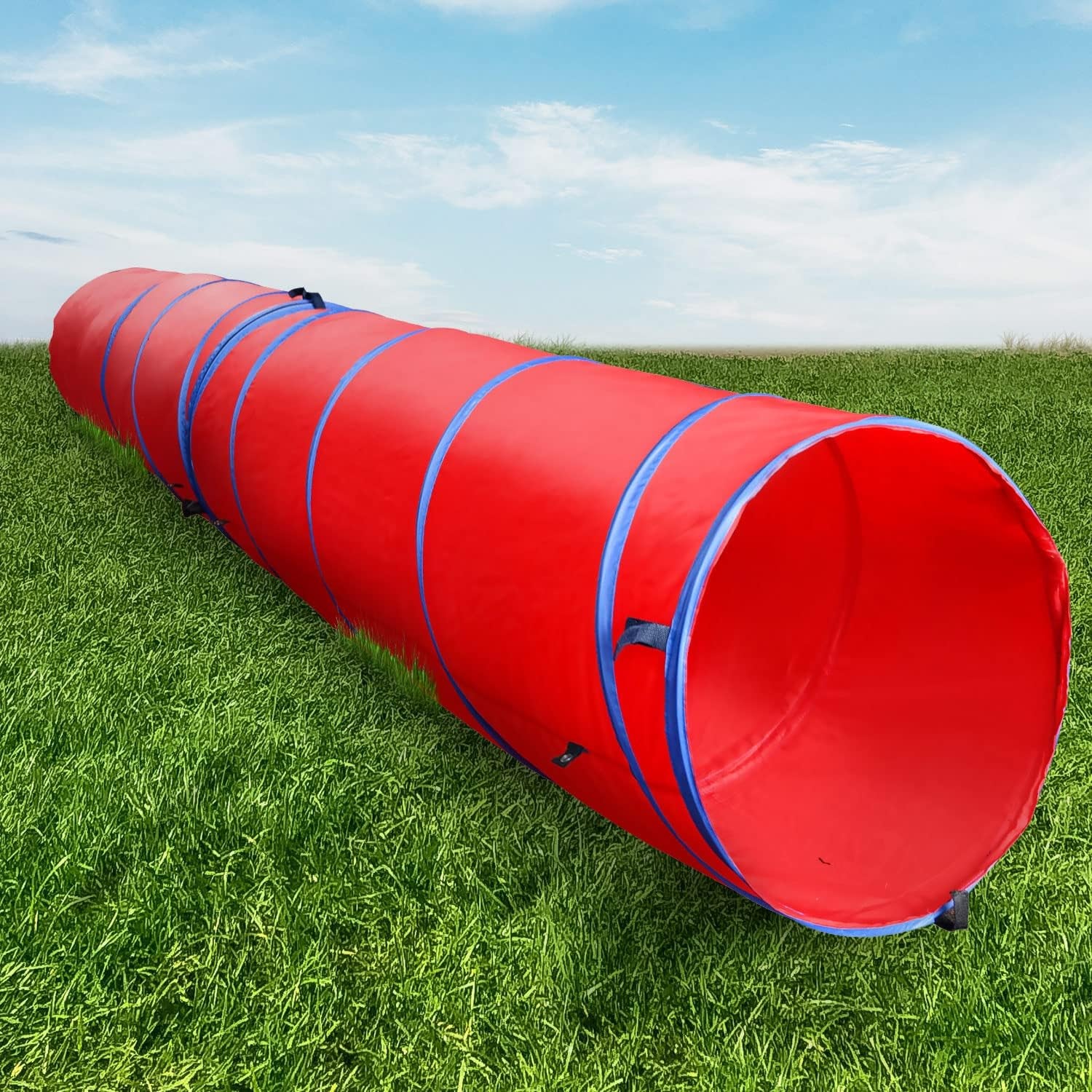 Cheering Pet Deluxe Edition Dog Agility Training Set – Indoor/Outdoor Dog Agility Equipment with Two Tunnels | Complete Set for Fun & Training