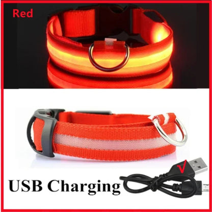 LED Glowing Dog Collar - Rechargeable Night Safety Flashing Pet Collar for Small Dogs with Adjustable Sizes