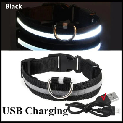 LED Glowing Dog Collar - Rechargeable Night Safety Flashing Pet Collar for Small Dogs with Adjustable Sizes