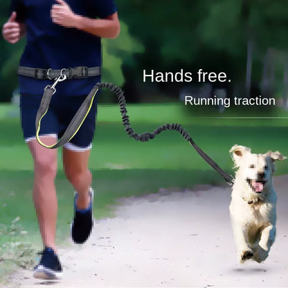 Hand-Free Dog Leash for Walking, Running, Jogging – Adjustable Waist Belt & Chest Strap – Traction Rope for Pet Walking