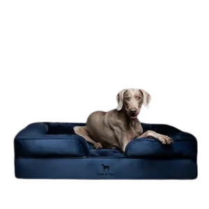 Noah & Paw Sofa Orthopedic Dog Bed – Luxury Velvet with Cooling Gel, Memory Foam & Bolstered Pillow for Joint Relief