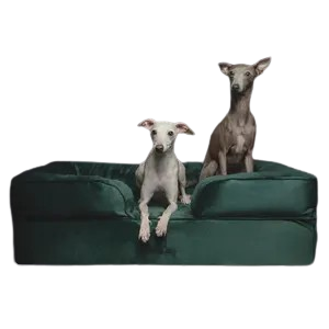 Noah & Paw Sofa Orthopedic Dog Bed – Luxury Velvet with Cooling Gel, Memory Foam & Bolstered Pillow for Joint Relief