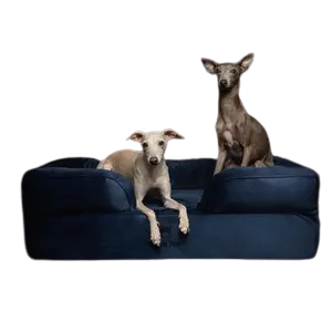 Noah & Paw Sofa Orthopedic Dog Bed – Luxury Velvet with Cooling Gel, Memory Foam & Bolstered Pillow for Joint Relief