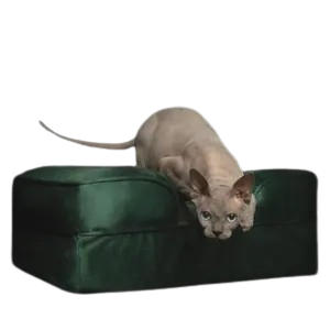 Noah & Paw Sofa Orthopedic Dog Bed – Luxury Velvet with Cooling Gel, Memory Foam & Bolstered Pillow for Joint Relief