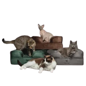 Noah & Paw Sofa Orthopedic Dog Bed – Luxury Velvet with Cooling Gel, Memory Foam & Bolstered Pillow for Joint Relief