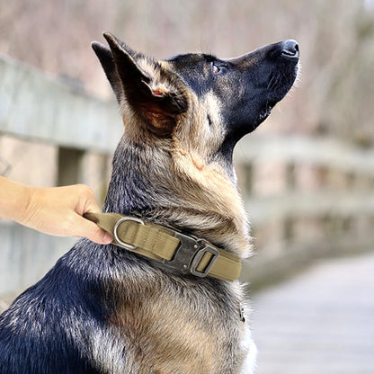 Military Tactical Dog Collar & Bungee Leash Set – Nylon Training Collar for Medium to Large Dogs