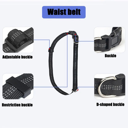 Upliftjoys 5.5 Ft Hands Free Dog Leash with Zipper Pouch – Adjustable Waist Leash for Walking & Running