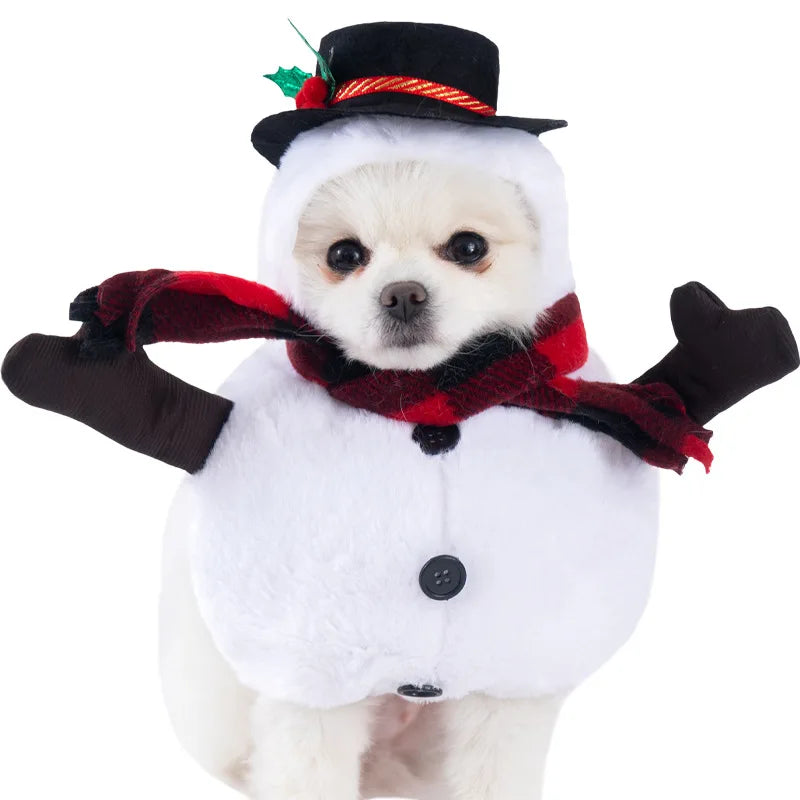 Halloween Dagger Pet Costume – Funny Knife Holding Dog Clothes & Cat Transformation Outfit