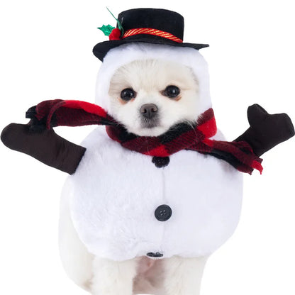 Halloween Dagger Pet Costume – Funny Knife Holding Dog Clothes & Cat Transformation Outfit