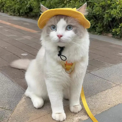 Cute Cat & Sm Dog Sun Hat – Visor Hat with Ear Holes for Pets, Outdoor Sun Protection