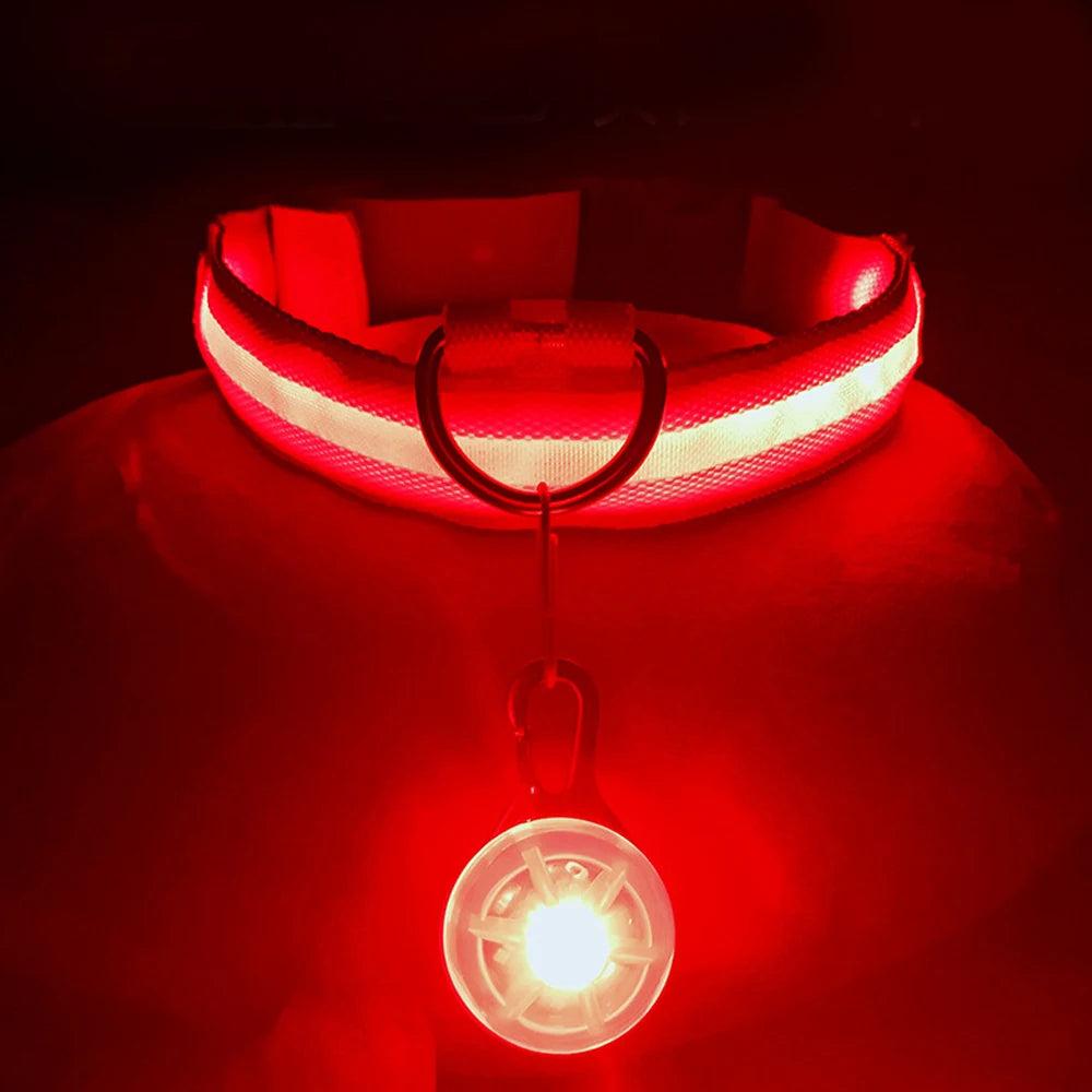USB Charging Glowing Dog Collar with Pendant – Luminous LED Light Dog Collar for Safety – Available in XS-XXL